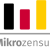 Logo des Mikrozensus Logo des Mikrozensus