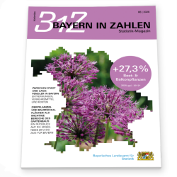 168 2026 02 Z Bayern In Zahlen Graphik