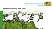 Img Eierproduktion 2020